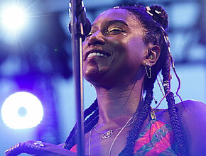 Agrandir l'image (fenêtre modale)